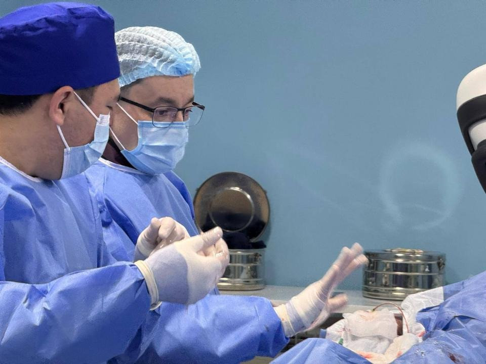 Казахстанские врачи провели высокотехнологичные операции в Узбекистане