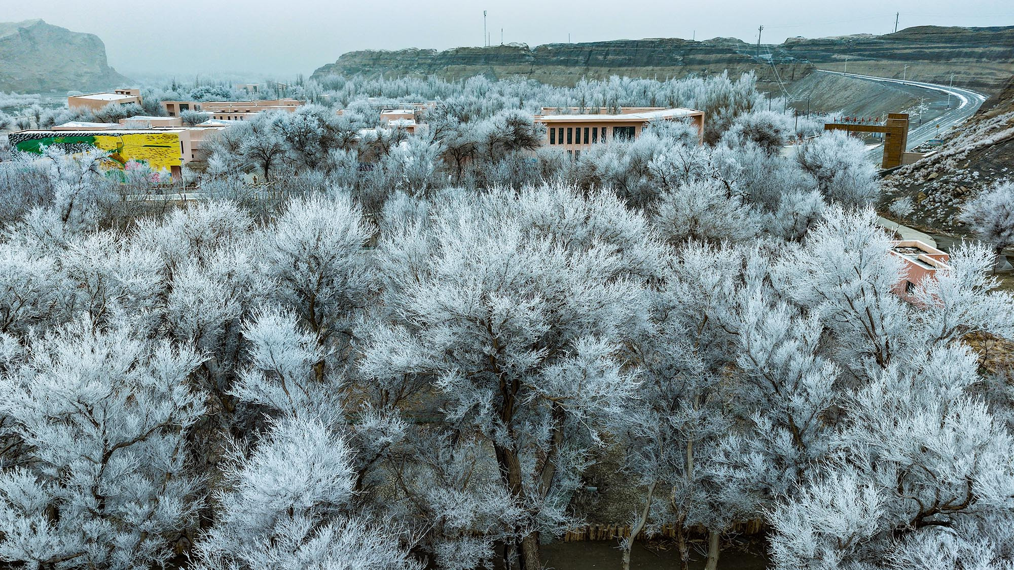 В Тяньшаньской Красной речной долине уезда Токсон (Синьцзян) наблюдается иней