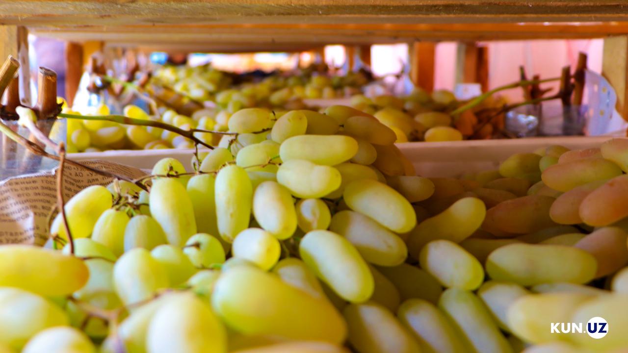 Узбекистан обогнал Китай по поставкам винограда в Россию