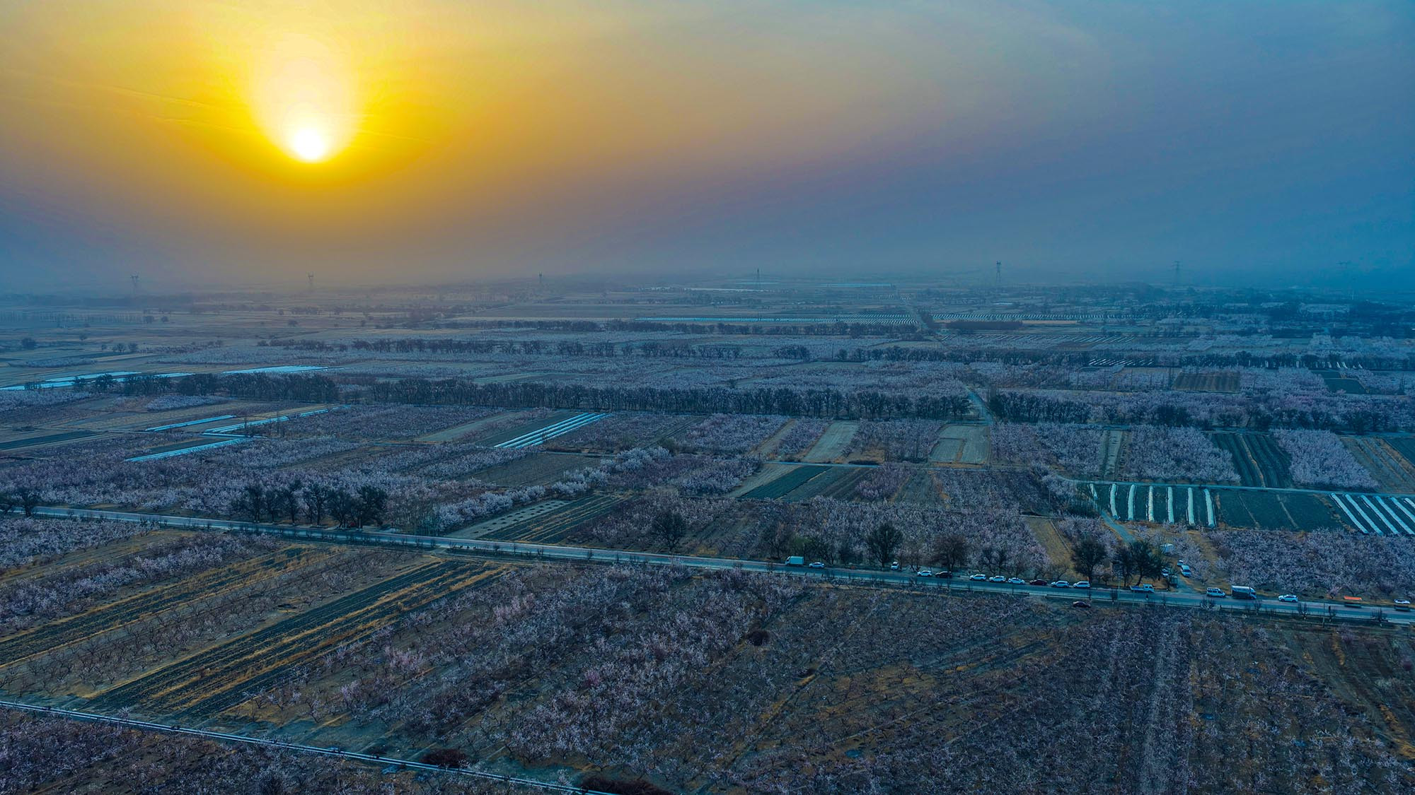 В Токсуне (Синьцзян) зацвели абрикосовые сады: весна приходит под лучами утреннего солнца