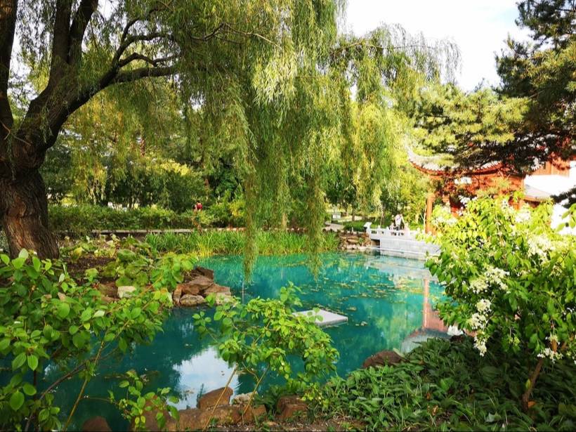 В каждом регионе Узбекистана будут созданы ботанические сады и дендрологические парки